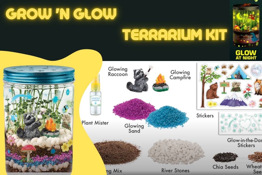 Grow 'N Glow Terrarium Kit